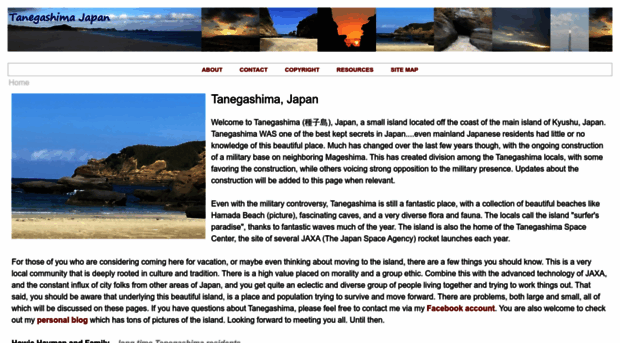 tanegashimajapan.com