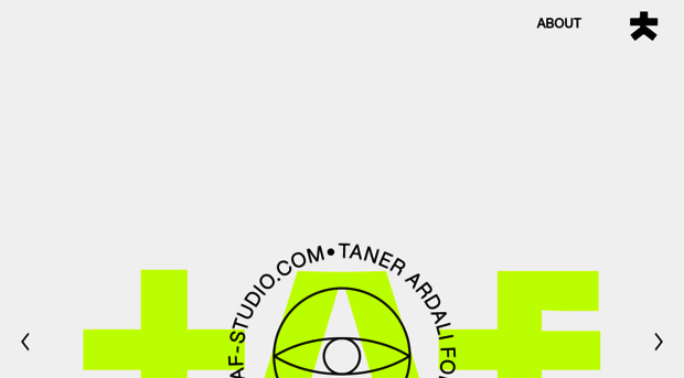 tanerardali.com