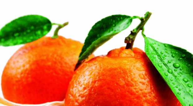 tangerineink.com