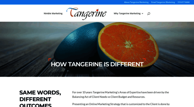 tangerinemarketing.com