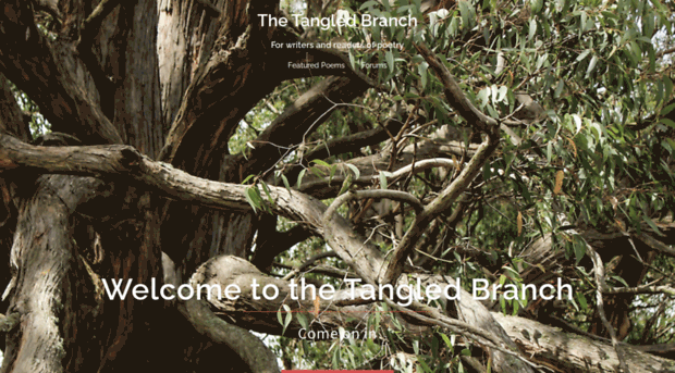 tangledbranch.com