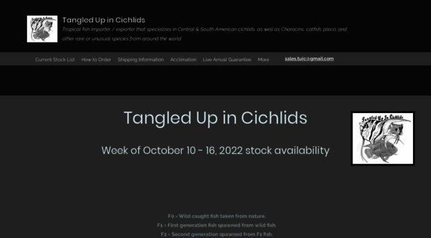 tangledupincichlids.com