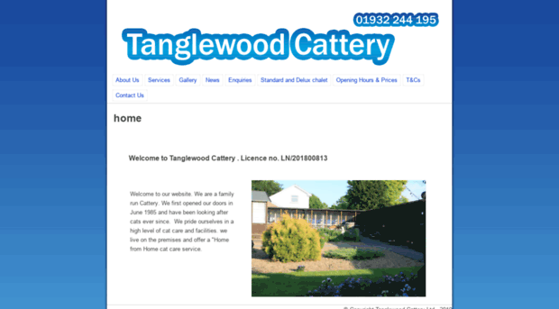 tanglewoodcattery.org
