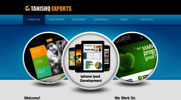 tanishqexports.com