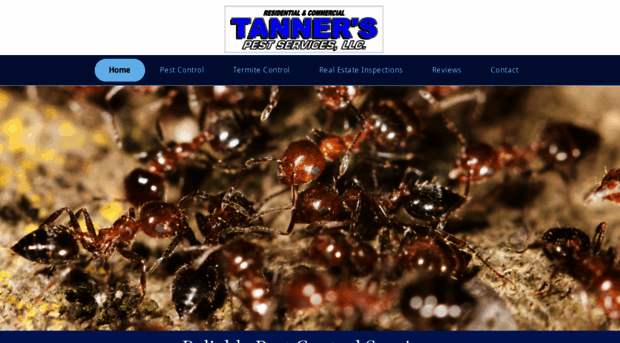 tannerspest.com