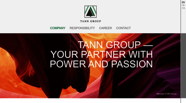 tanngroup.com