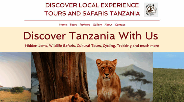 tanzania-with-locals.com