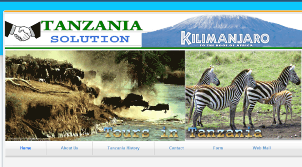 tanzaniasolution.com