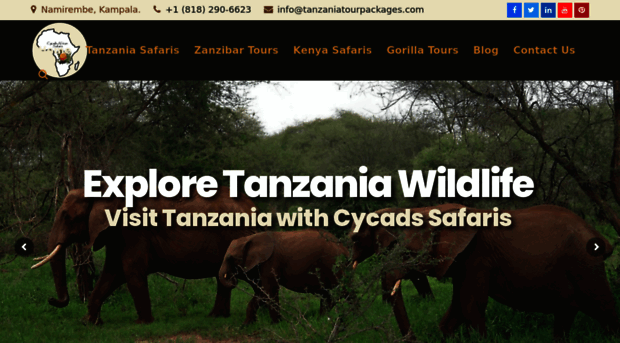 tanzaniatourpackages.com