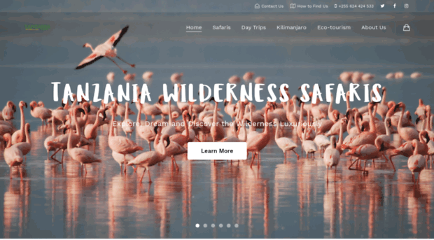 tanzaniawildernesssafaris.com