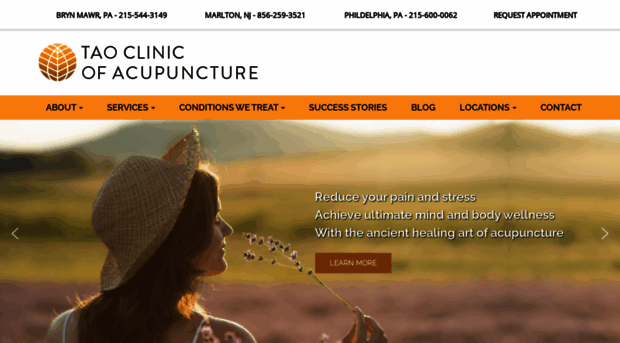 taoclinicofacupuncture.com