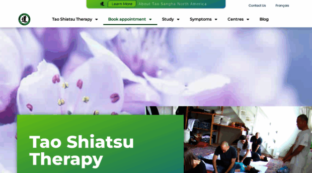 taoshiatsutherapy.com