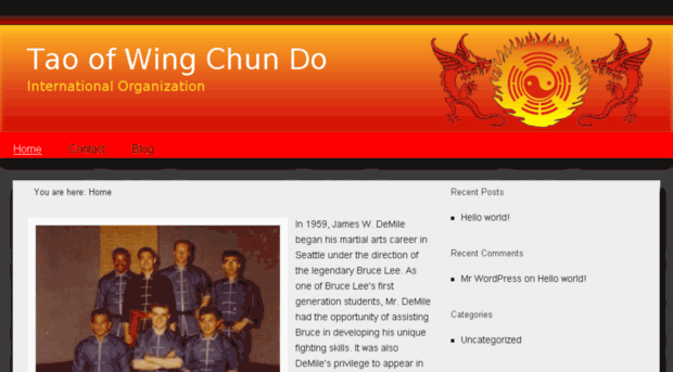 taowingchundo.com