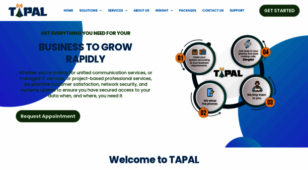 tapalinfosys.com