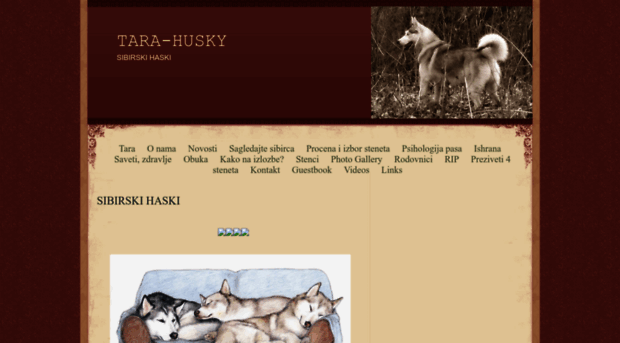 tara-husky.webs.com