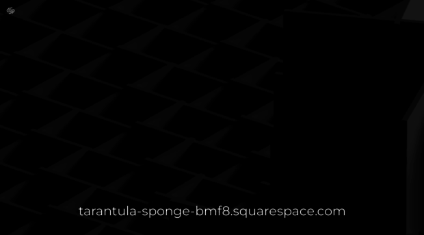 tarantula-sponge-bmf8.squarespace.com