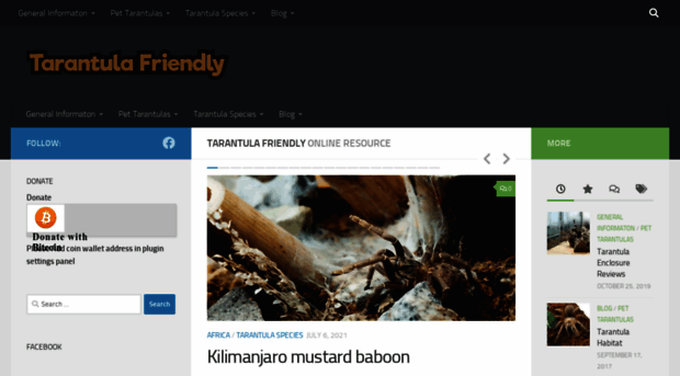 tarantulafriendly.com