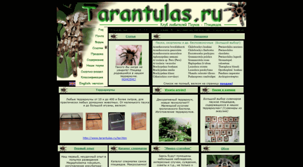 tarantulas.ru