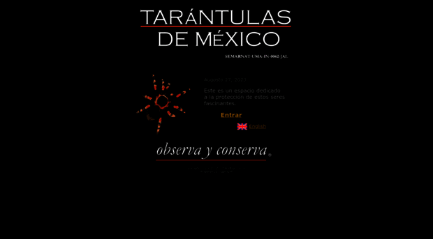 tarantulasdemexico.com