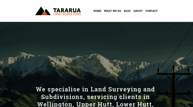 tararuasurveyors.co.nz