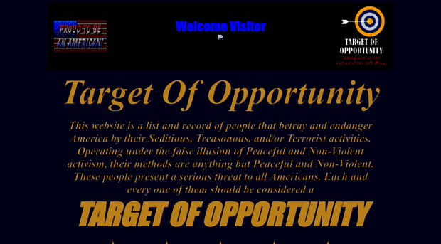 targetofopportunity.com