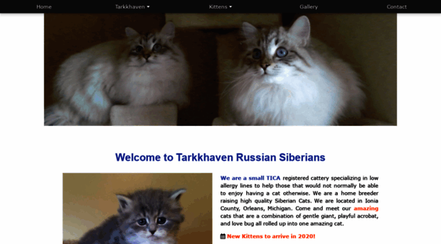 tarkkhavensiberians.com