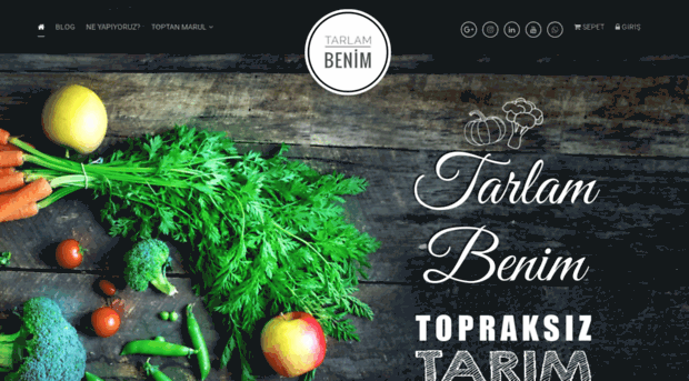 tarlambenim.com