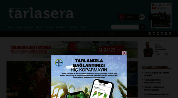 tarlasera.com