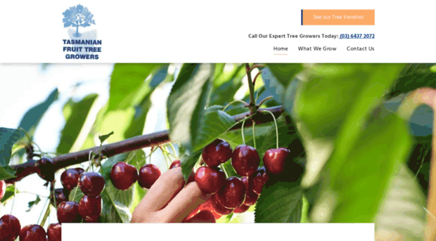 tasfruittreegrowers.com.au