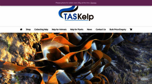 taskelp.com