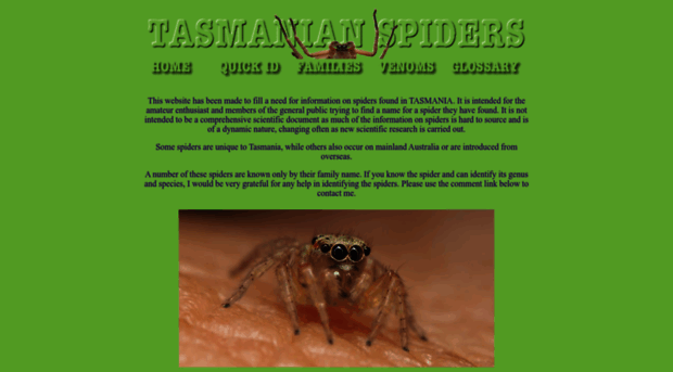 tasmanianspiders.info