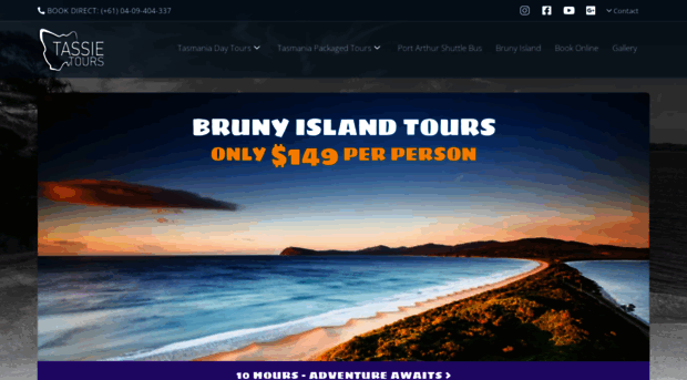 tassietours.com