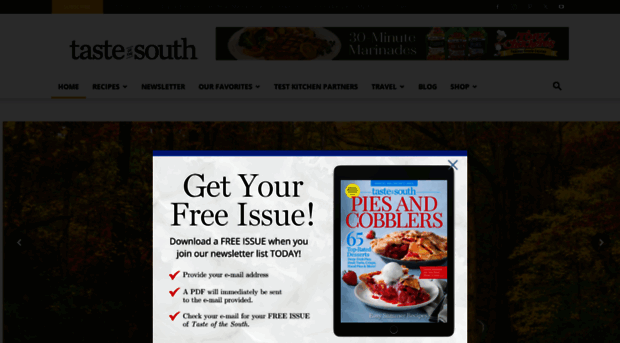 tasteofthesouthmagazine.com