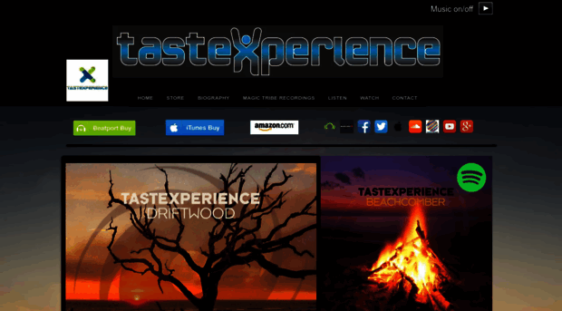 tastexperience.co.uk