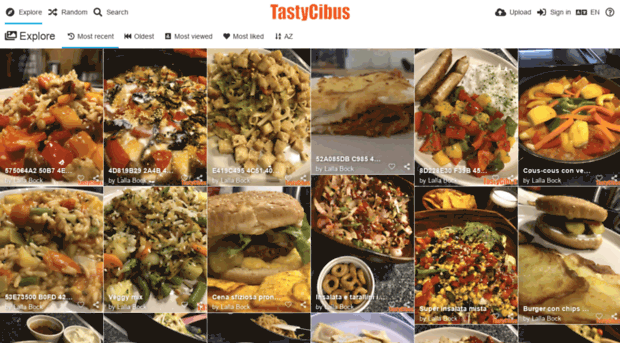 tastycibus.com