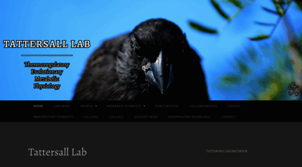 tattersalllab.com