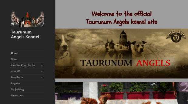 taurunumangels.com