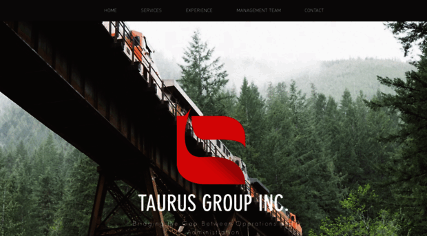 taurusgroupconsulting.com