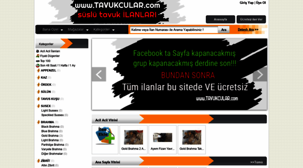 tavukcular.com