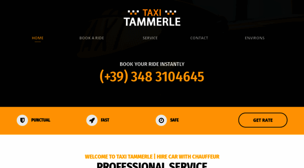 taxi-tammerle.com