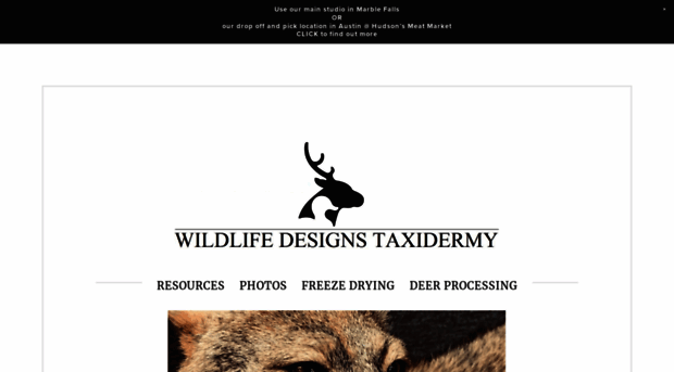 taxidermyaustin.com