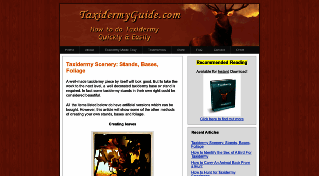 taxidermyguide.com