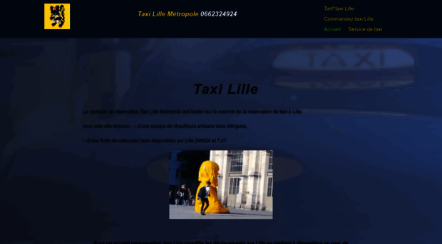 taxis-lille-metropole.fr