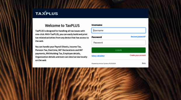 taxplus.online