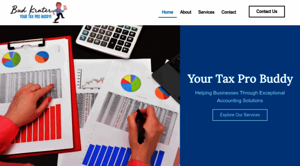 taxprobuddy.com