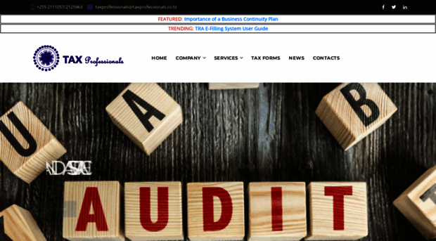 taxprofessionals.co.tz