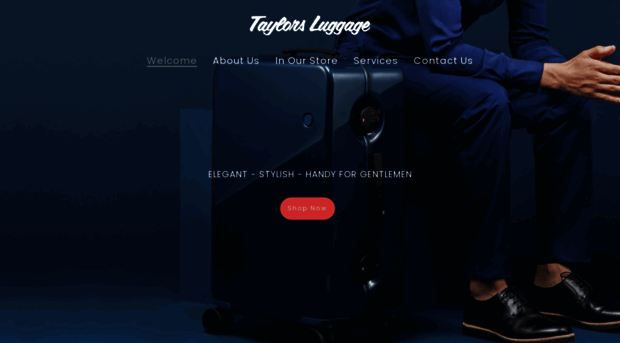 taylorsluggage.com