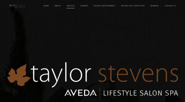 taylorstevens.com