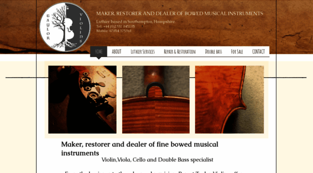 taylorviolins.co.uk