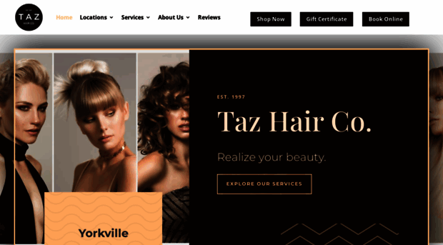 tazhair.com